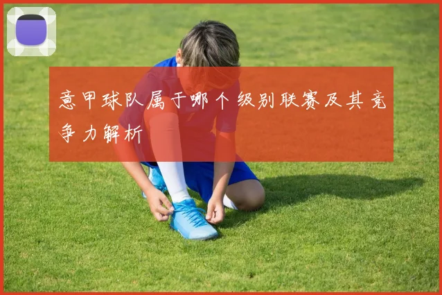 意甲球队属于哪个级别联赛及其竞争力解析