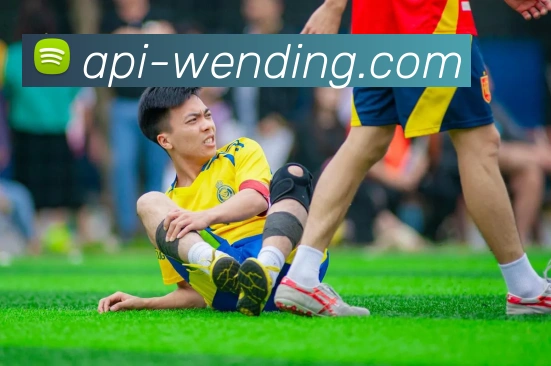 问鼎娱乐app平台生态图